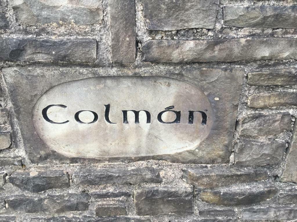 Colman House Bed & Breakfast Kilmihil Exterior photo